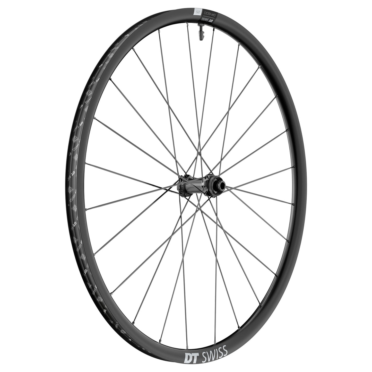 DT SWISS GR 1600 SPLINE 25 DISC ruota anteriore Tubeless Ready (Centerlock)