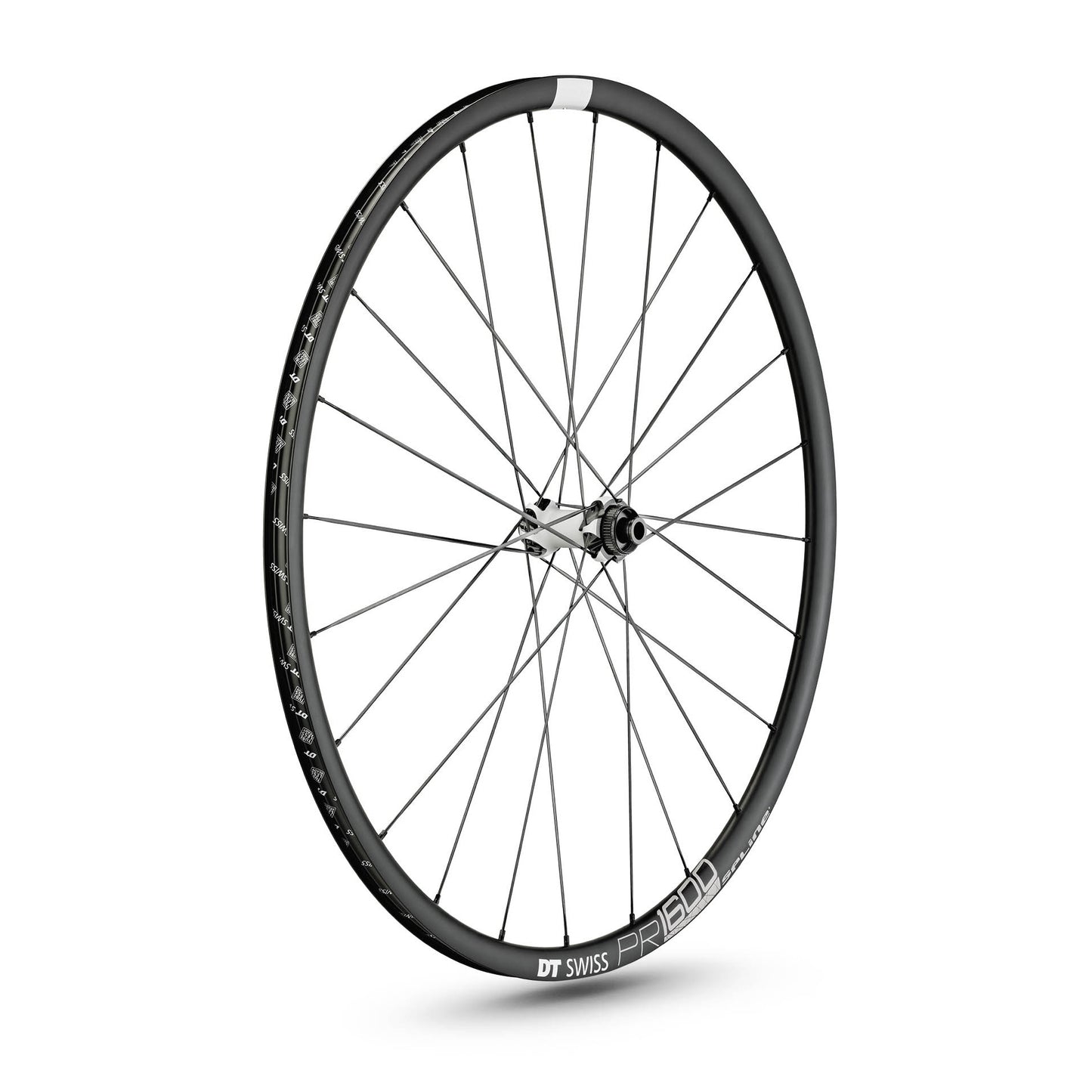 DT SWISS PR 1600 SPLINE 23 DISC ruota anteriore Tubeless Ready (Center Lock)