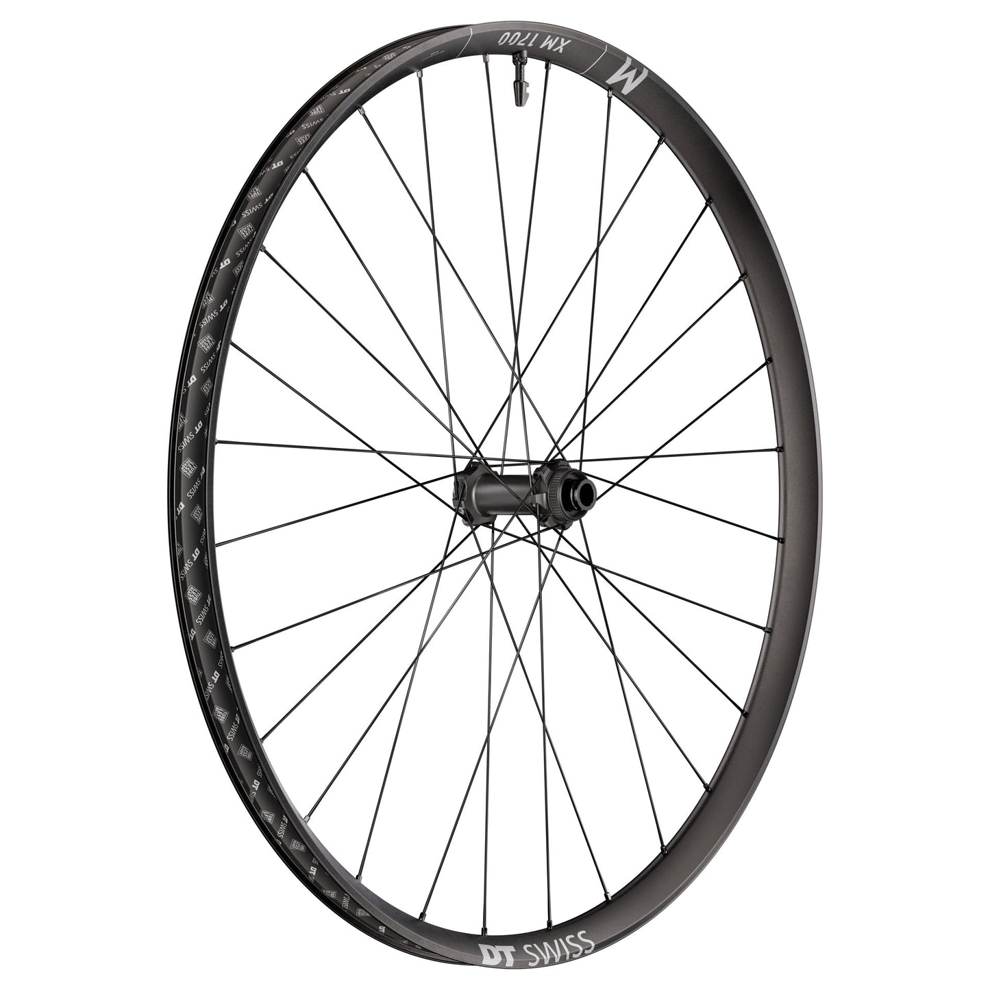 DT SWISS XM 1700 SPLINE 30 mm 29" 15x110 mm Boost 2026 Ruota anteriore
