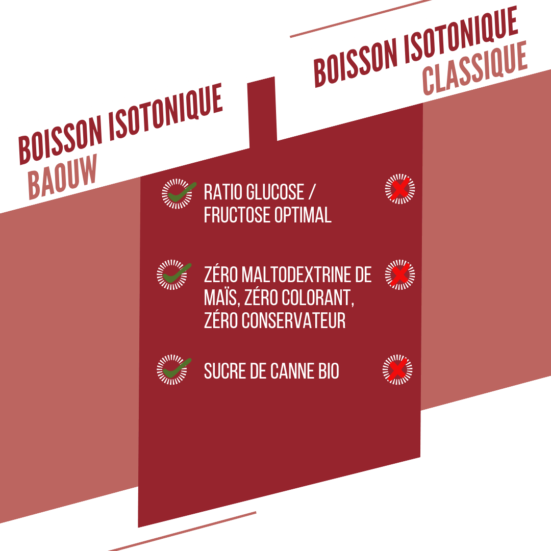 BAOUW ISOTONIC Bevanda energetica (45 g) Anguria/Pomograno