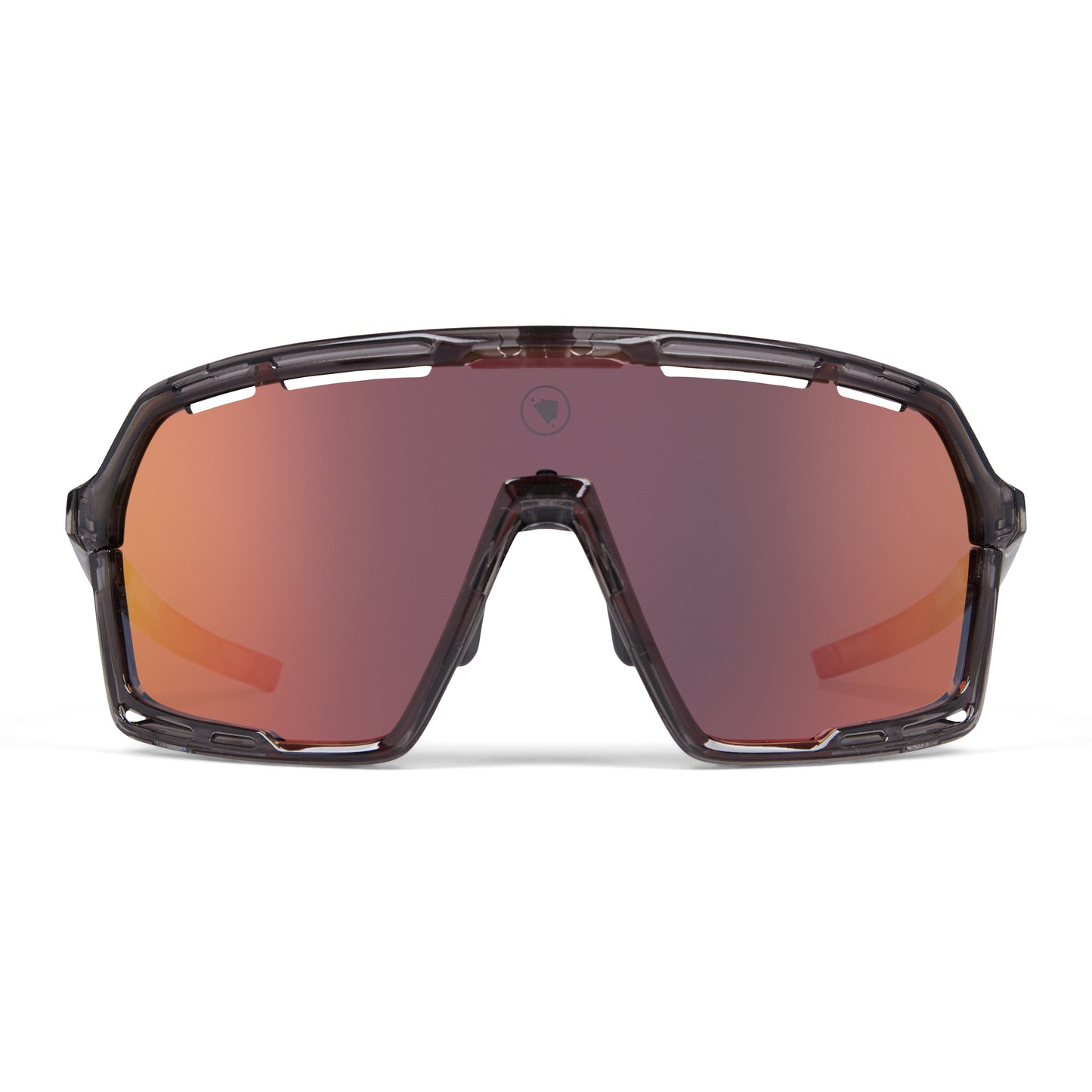 Occhiali ENDURA PRO SL Grigio 2025