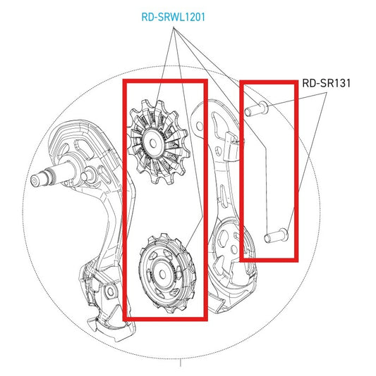 CAMPAGNOLO SUPER-RECORD 12V WRL DISCO mozzi per deragliatore