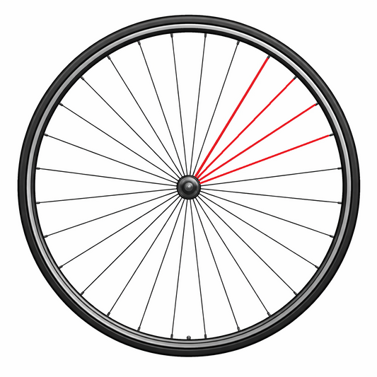 CAMPAGNOLO FULL SPOKE POSTERIORE SINISTRO ZONDA (4 PZ.)