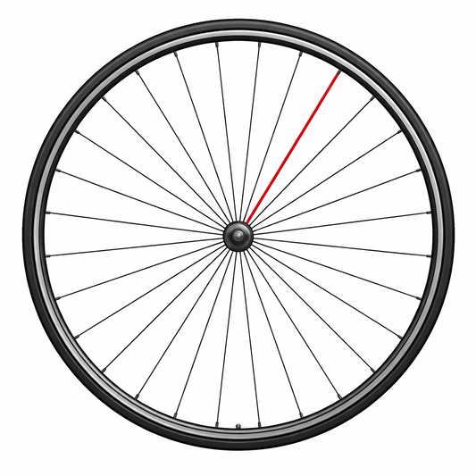 CAMPAGNOLO COMPLETO RAGGI ANTERIORI SHAMAL C17 (1 PZ.)