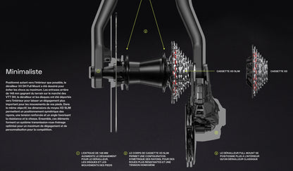 Cassetta 7V SRAM XS-797 T-Type DH per Corpo XD