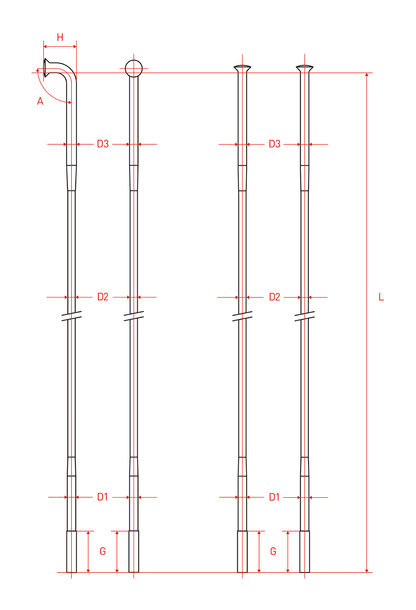 Raggio DT SWISS Champion 2.0 (x100)