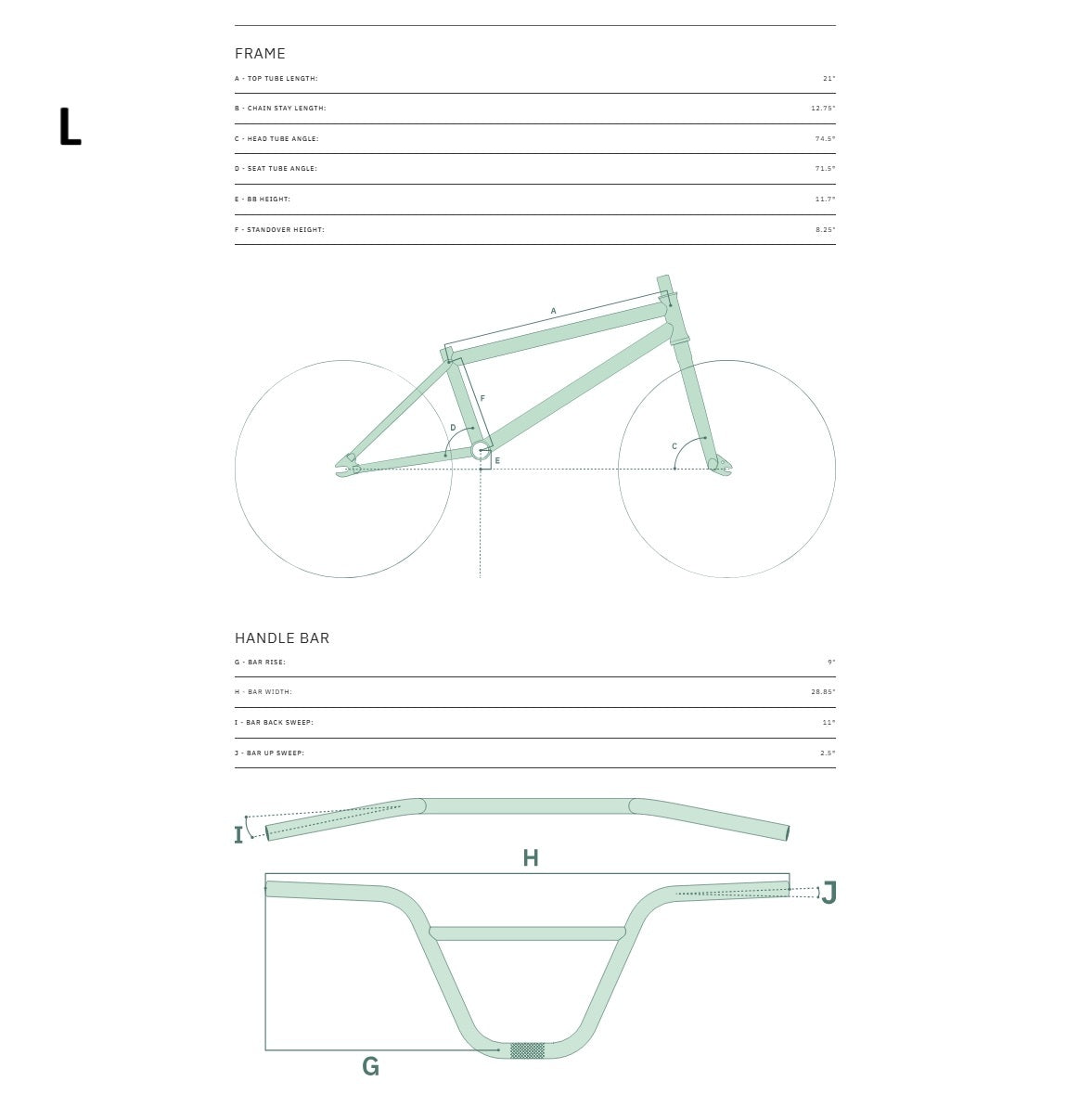 BMX WETHEPEOPLE THRILLSEEKER 20" Turchese