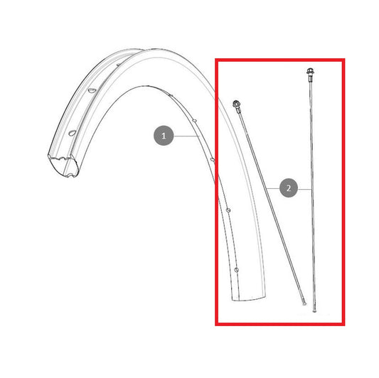 Kit di 12 raggi MAVIC ALLROAD SL Carbon 278 mm anteriori e posteriori
