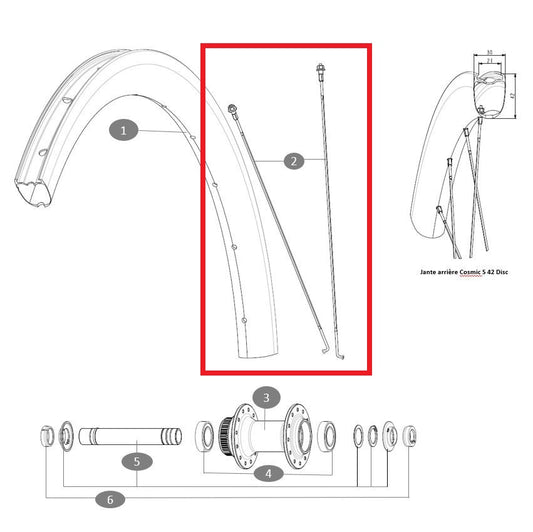Kit di 12 raggi MAVIC COSMIC S42 273 mm anteriore/posteriore