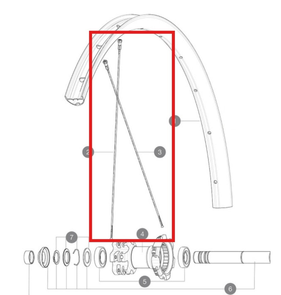 KIT DI 12 RAGGI POSTERIORI MAVIC CROSSMAX LIGHT 29'' 294MM