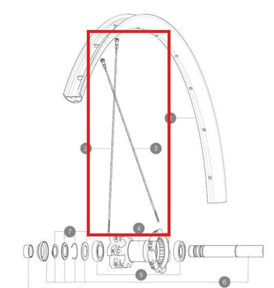 KIT DI 12 RAGGI POSTERIORI MAVIC CROSSMAX LIGHT 29'' 294MM