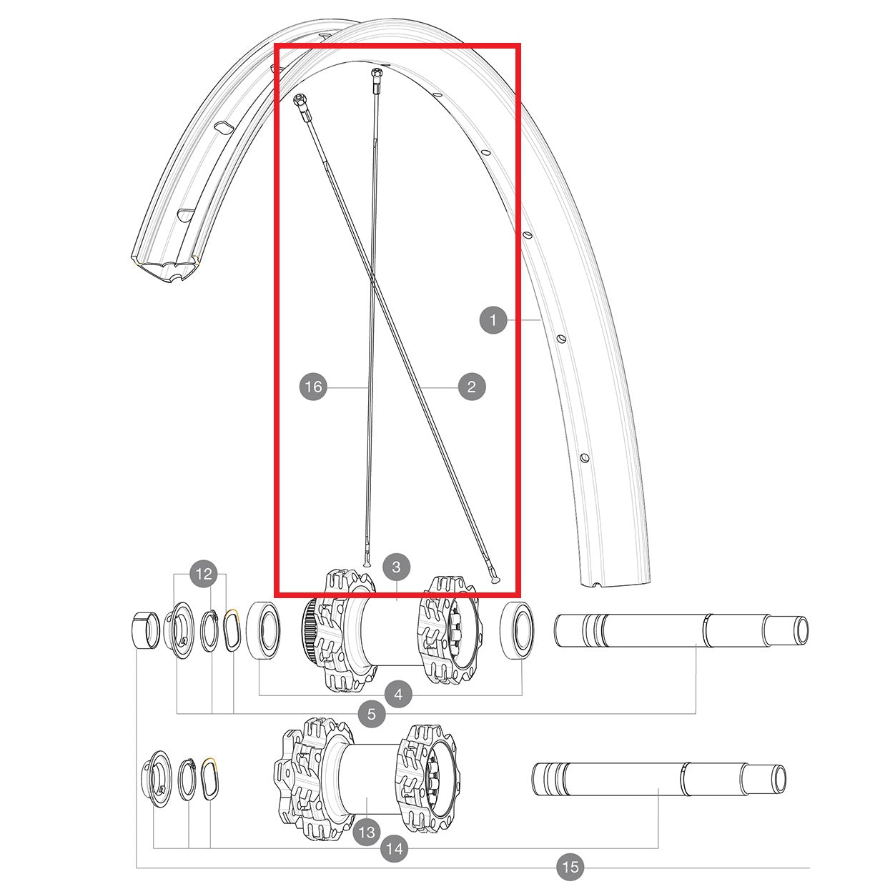 KIT 14 POSTERIORE NON LATO GUIDA EDEEMAX 29'' RAGGI PIATTI 305 + NIPPLO