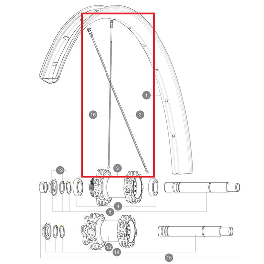 KIT 14 POSTERIORE NON LATO GUIDA EDEEMAX 29'' RAGGI PIATTI 305 + NIPPLO