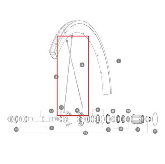 KIT 12 RAGGI AERO INOSSIDABILI IMBUTITI 277 + NIPPLO ALU + RONDELLA
