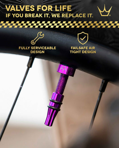 Valvole Tubeless PEATY'S HOLESHOT FAST FLOW 60mm (x2) Argento