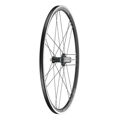 Ruota Posteriore CAMPAGNOLO ZONDA