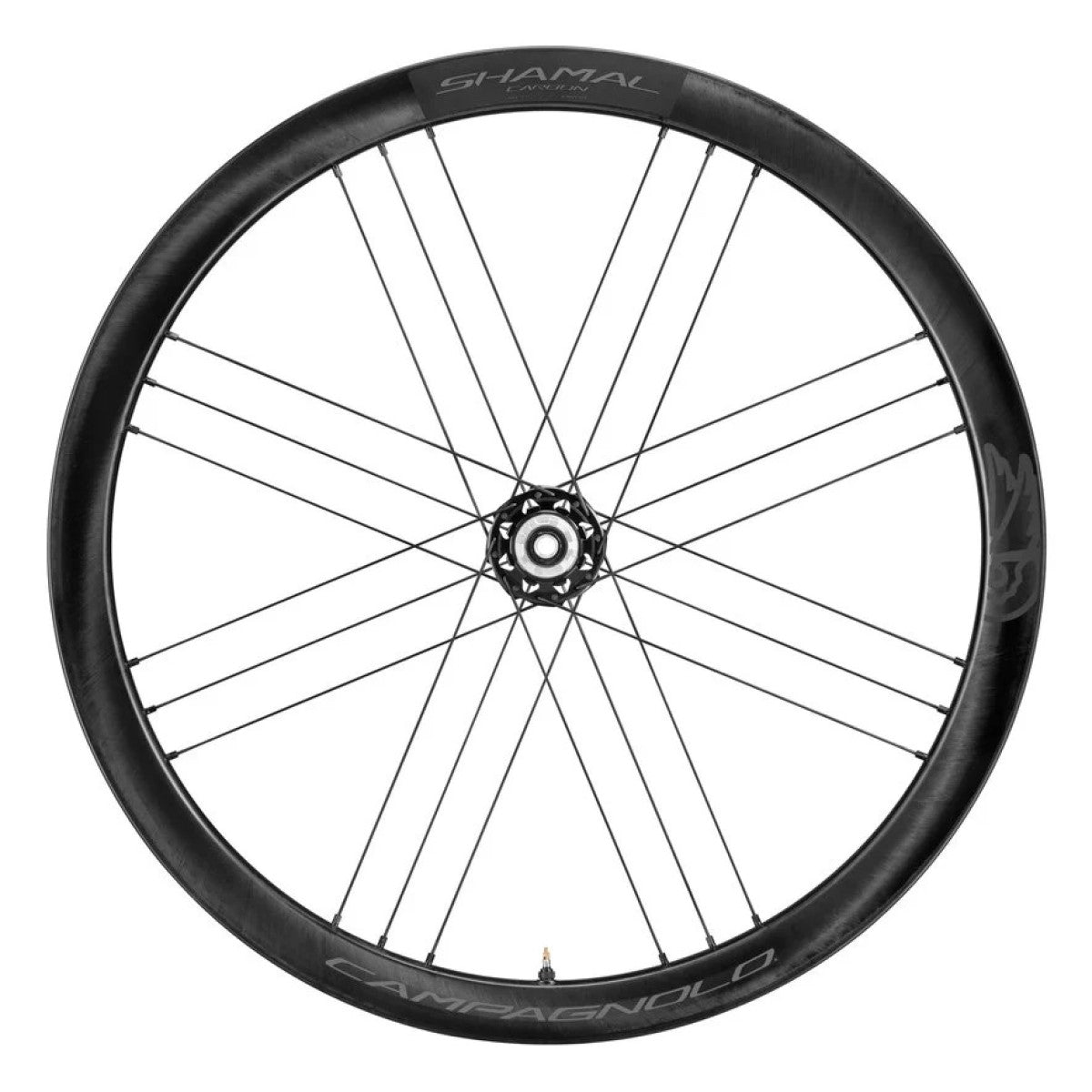 Ruota posteriore CAMPAGNOLO SHAMAL DISC con pneumatici (Center Lock)