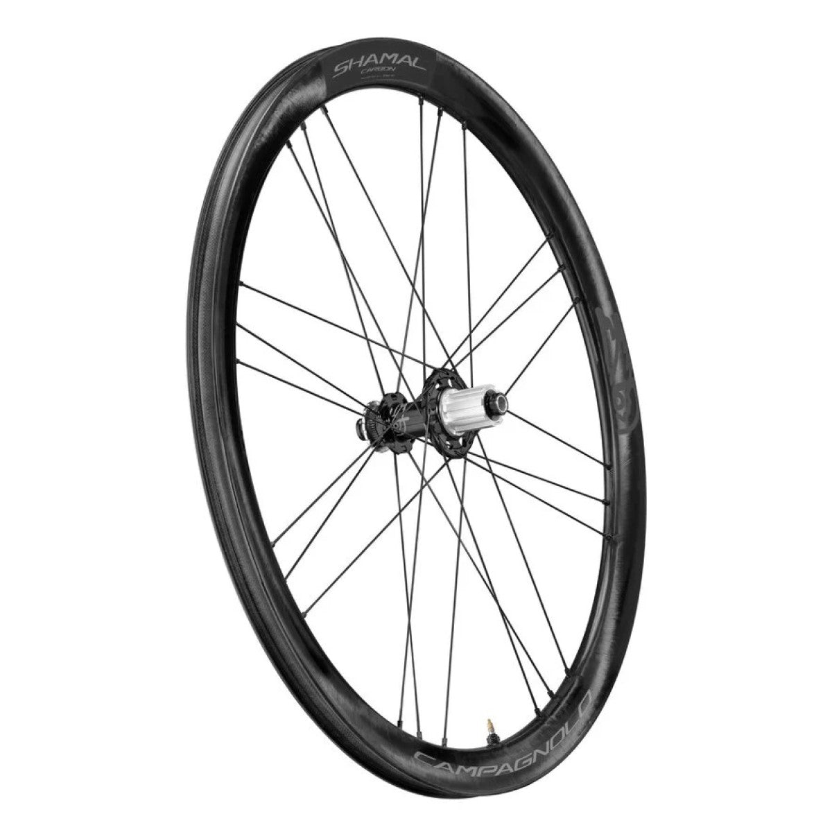 Ruota posteriore CAMPAGNOLO SHAMAL DISC con pneumatici (Center Lock)