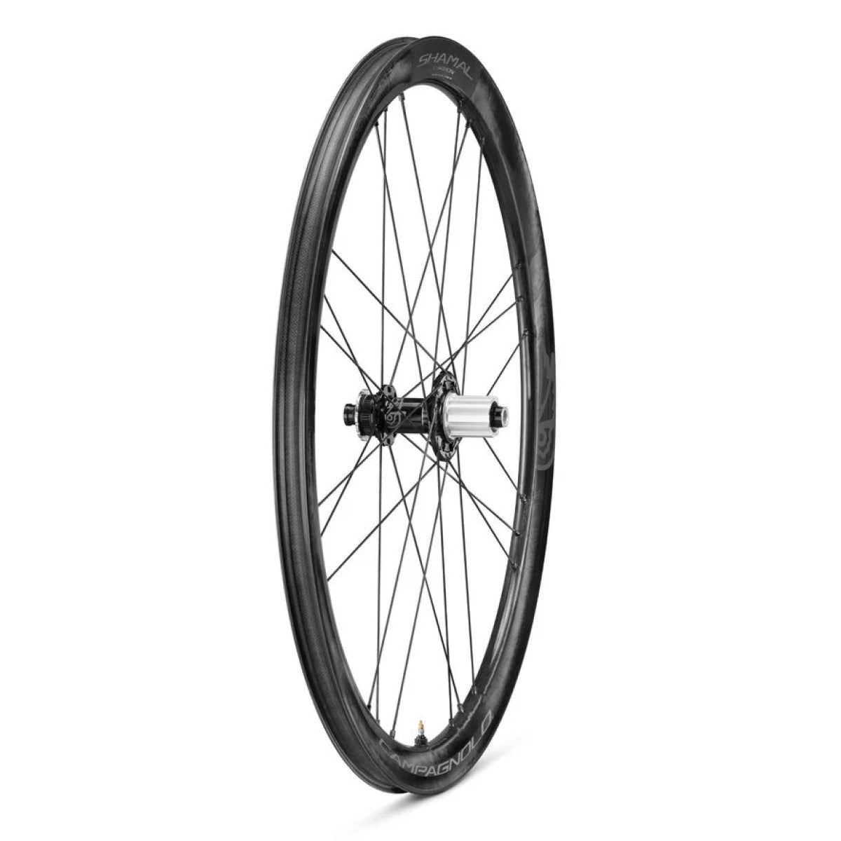 Ruota posteriore CAMPAGNOLO SHAMAL DISC con pneumatici (Center Lock)