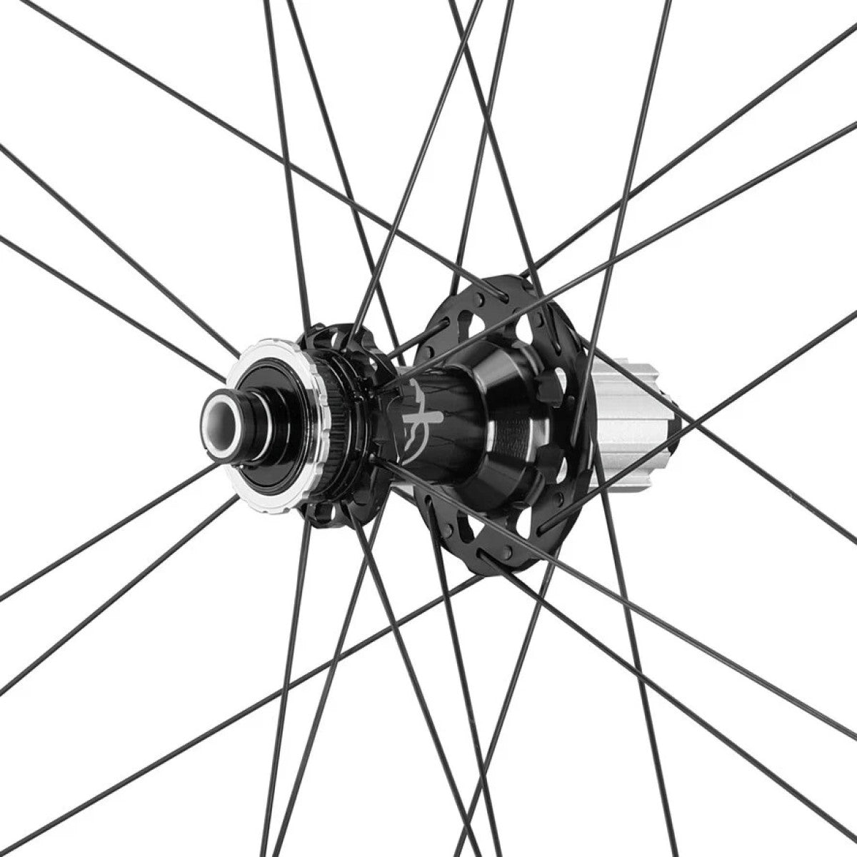 Ruota posteriore CAMPAGNOLO SHAMAL DISC con pneumatici (Center Lock)