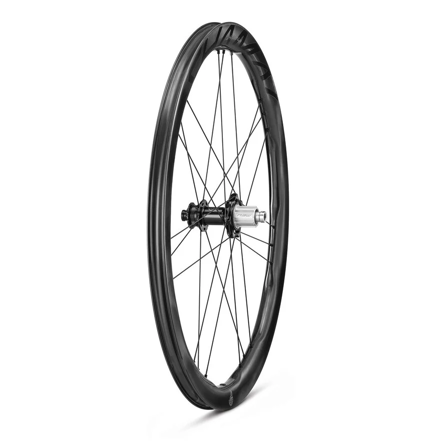 Coppia di ruote CAMPAGNOLO SHAMAL DUAL PROFILE CARBON C23 Tubeless Ready (Center Lock)