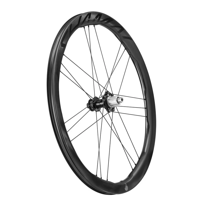 Coppia di ruote CAMPAGNOLO SHAMAL DUAL PROFILE CARBON C23 Tubeless Ready (Center Lock)