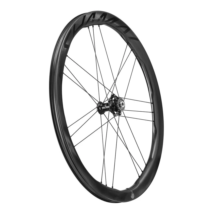 Coppia di ruote CAMPAGNOLO SHAMAL DUAL PROFILE CARBON C23 Tubeless Ready (Center Lock)