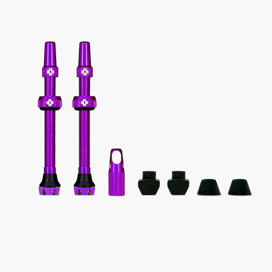 Valvole tubeless V2 MUC-OFF Violet