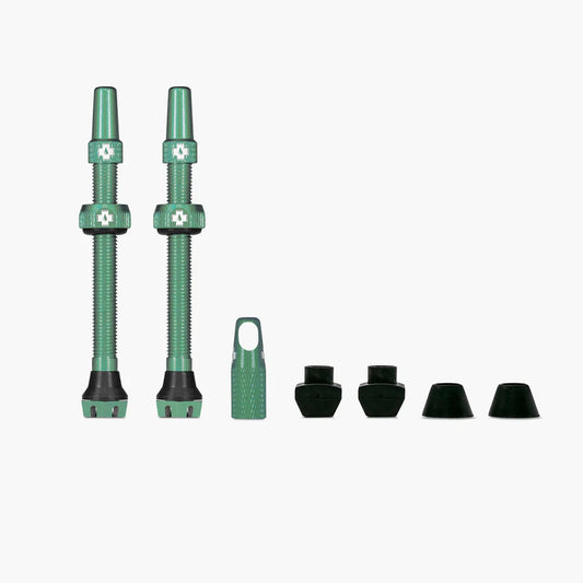 Valvole tubeless V2 MUC-OFF Turchese