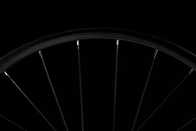 ENVE AG25 ruota posteriore Tubeless Ready (Center Lock)