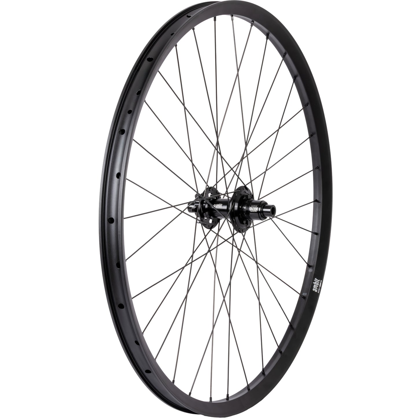 Ruota posteriore AMBIT REALM 29" 12x148mm Boost POE 102