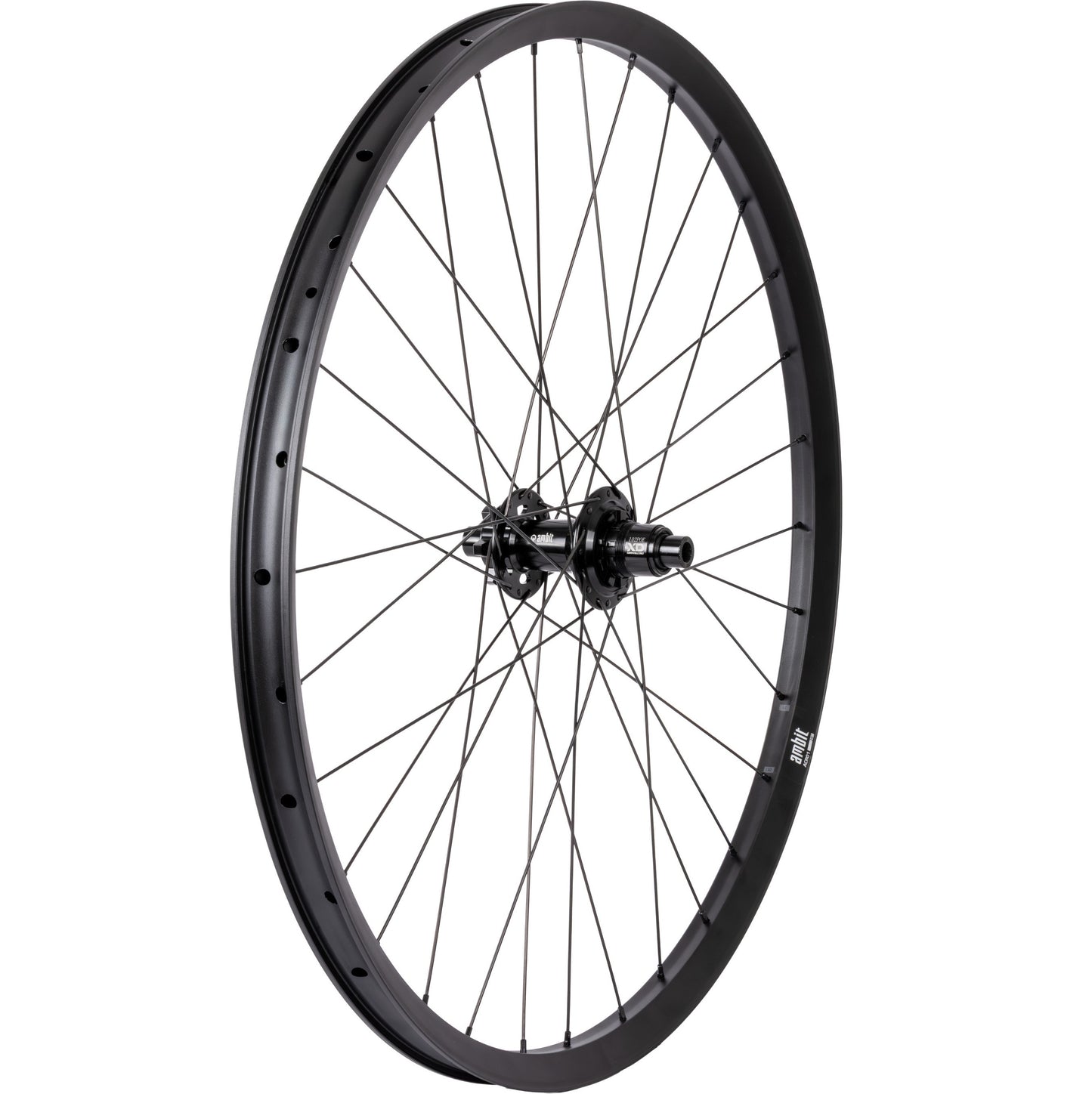Ruota posteriore AMBIT REALM 29" 12x148mm Boost POE 612