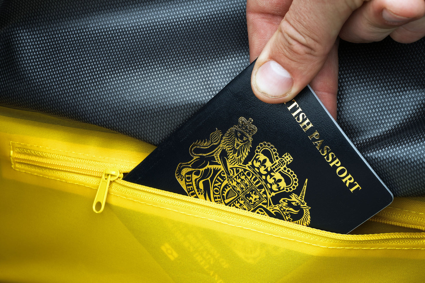 APIDURA EXPEDITION FRONT RACK PACK 20 L Borsa manubrio Nero