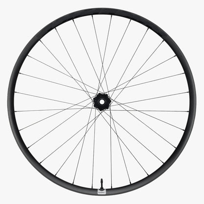 Ruota Anteriore RACE FACE ERA SL Carbonio 29" Asse 15x110 mm Boost