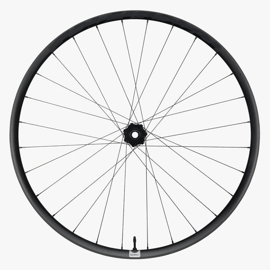 Ruota anteriore RACE FACE ERA SL Carbon 29" Asse 15x110 mm Boost