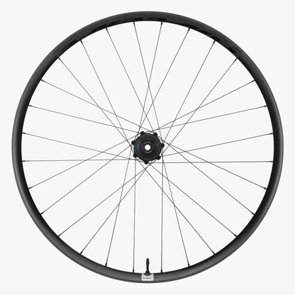 Ruota Posteriore RACE FACE ERA SL Carbonio 29" 12x148 mm Boost