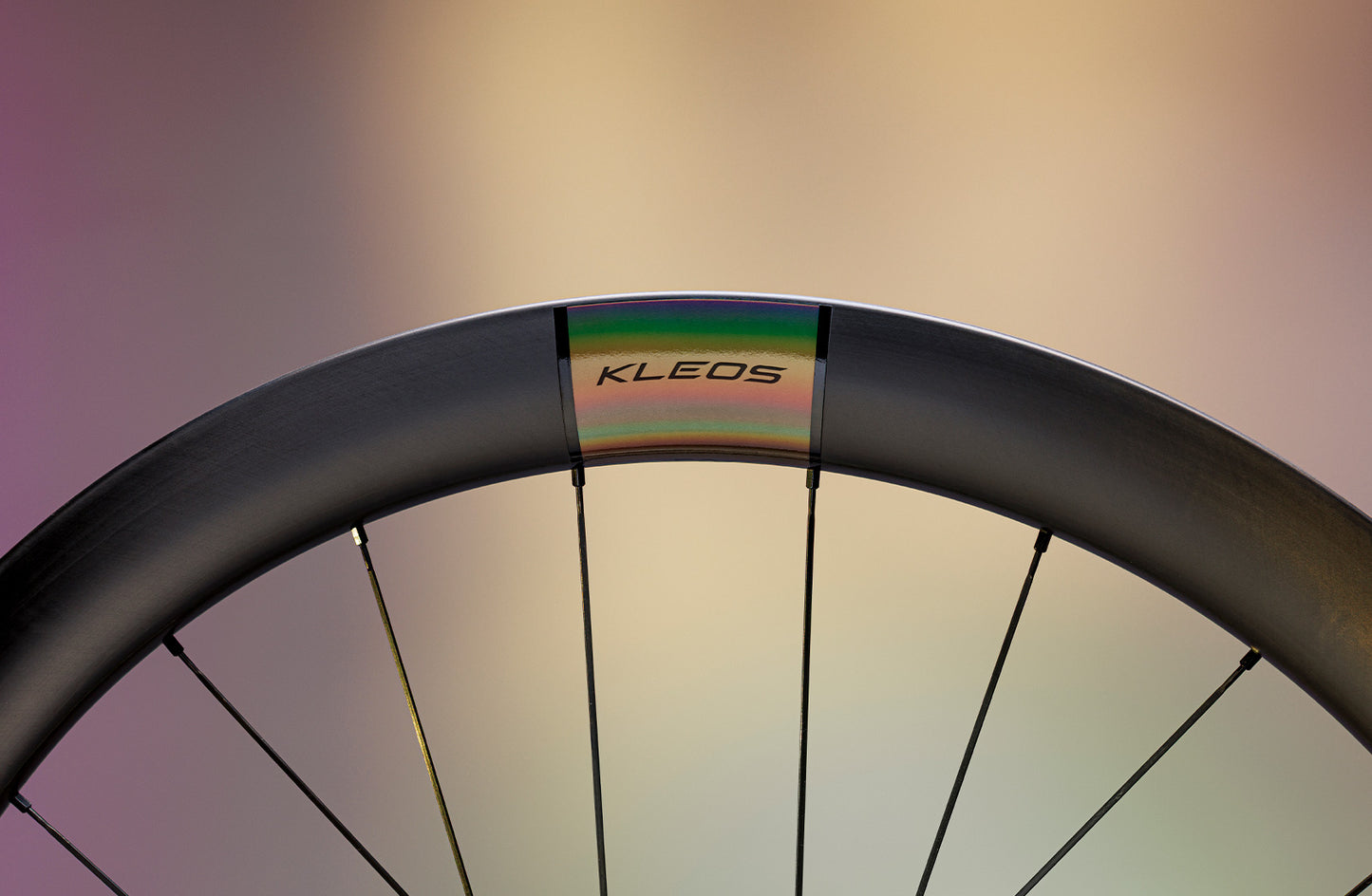 Coppia di ruote MICHE KLEOS 50 Tubeless Ready (bloccaggio centrale)