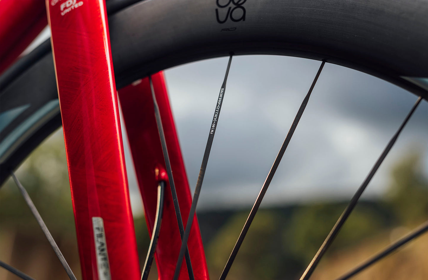 Coppia di ruote MICHE DEVA RD 52 Tubeless Ready (Center Lock) Nero