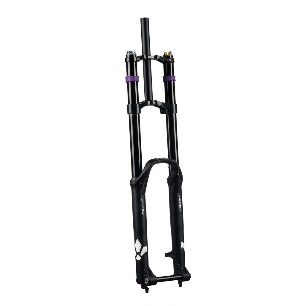 Forcella FORMULA NERO R 29" perno 20x110 mm Boost nera