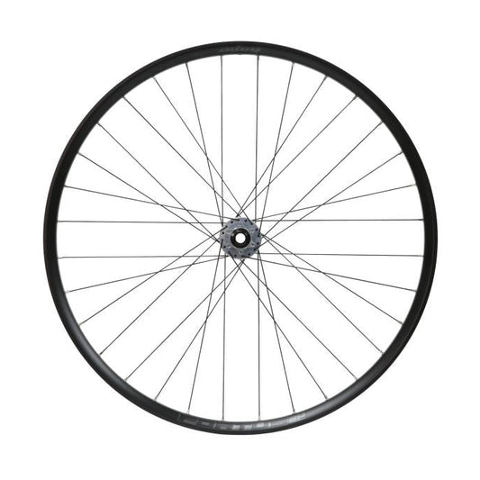 Ruota anteriore HOPE FORTUS 30 W SC 29" PRO 5 15x110 mm Boost Argento