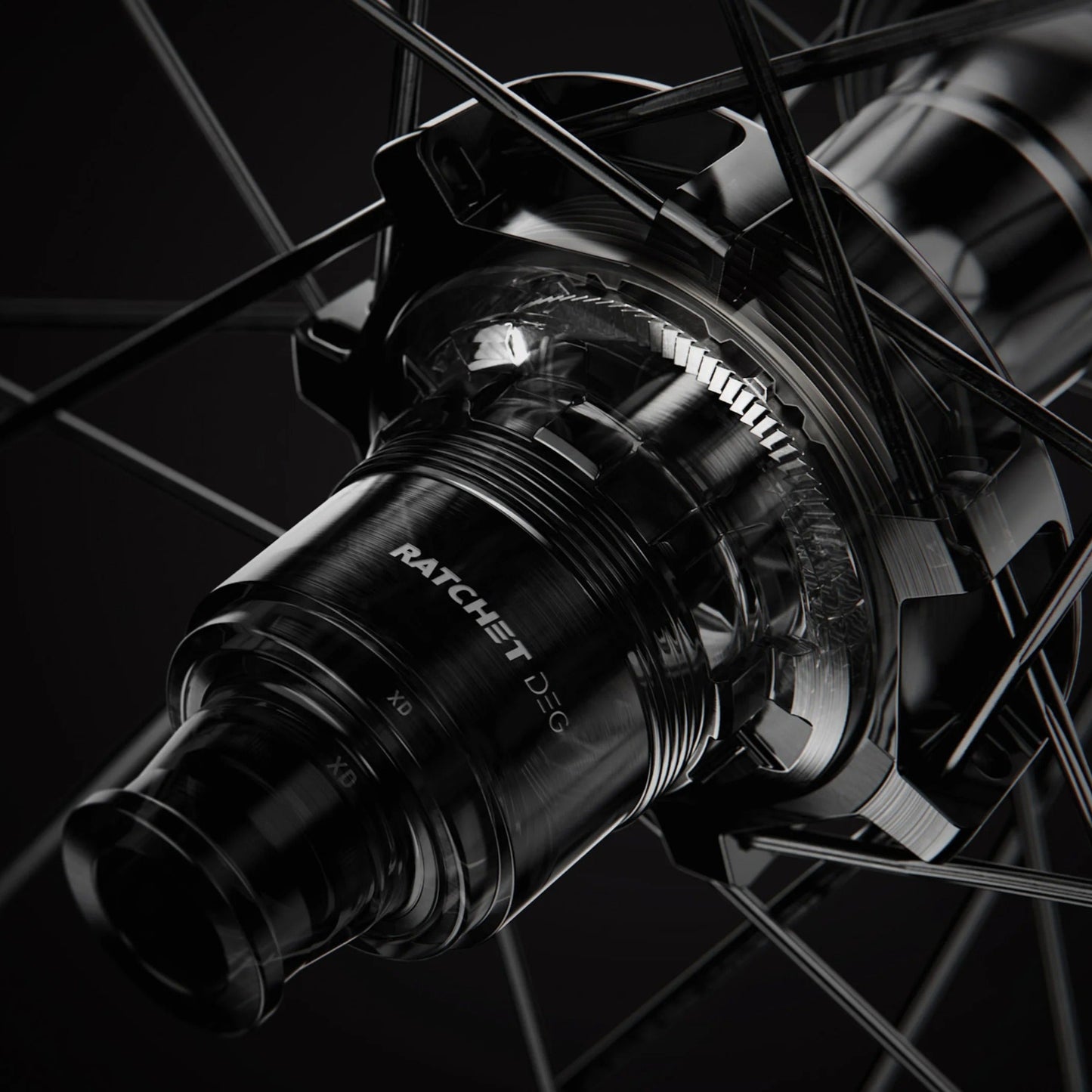 Kit di aggiornamento RATCHET DT SWISS DEG90T DF 0/10/20° Anti Pedal Kickback