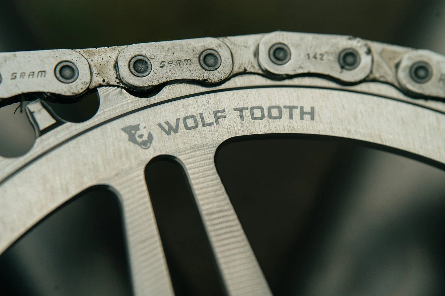 Ingranaggio WOLF TOOTH BOOST Direct Mount SRAM Raw Silver Mono