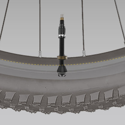 Set di 2 Valvole Tubeless TOPEAK TURBOFLOW Nero