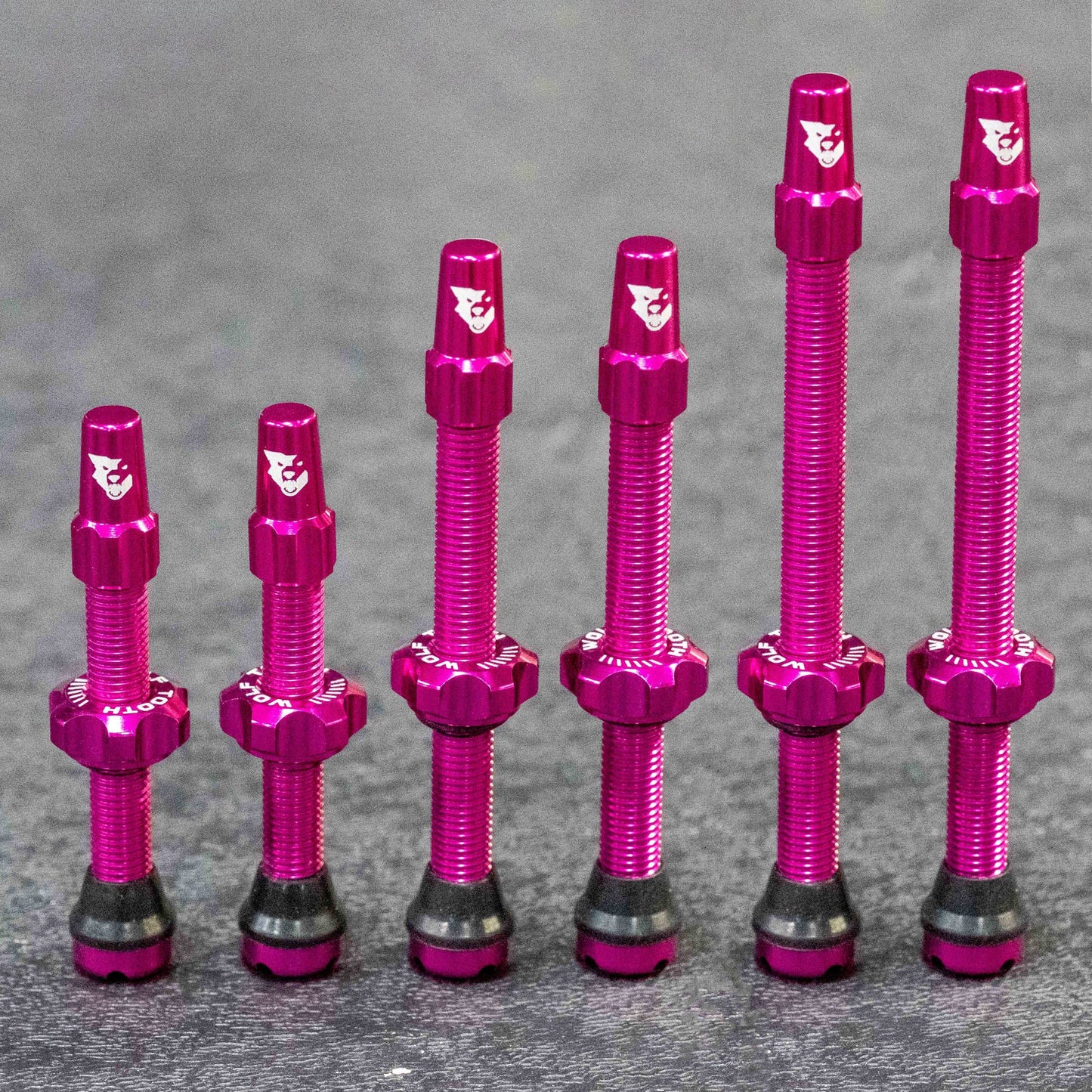 Set di 2 valvole tubeless WOLF TOOTH rosa