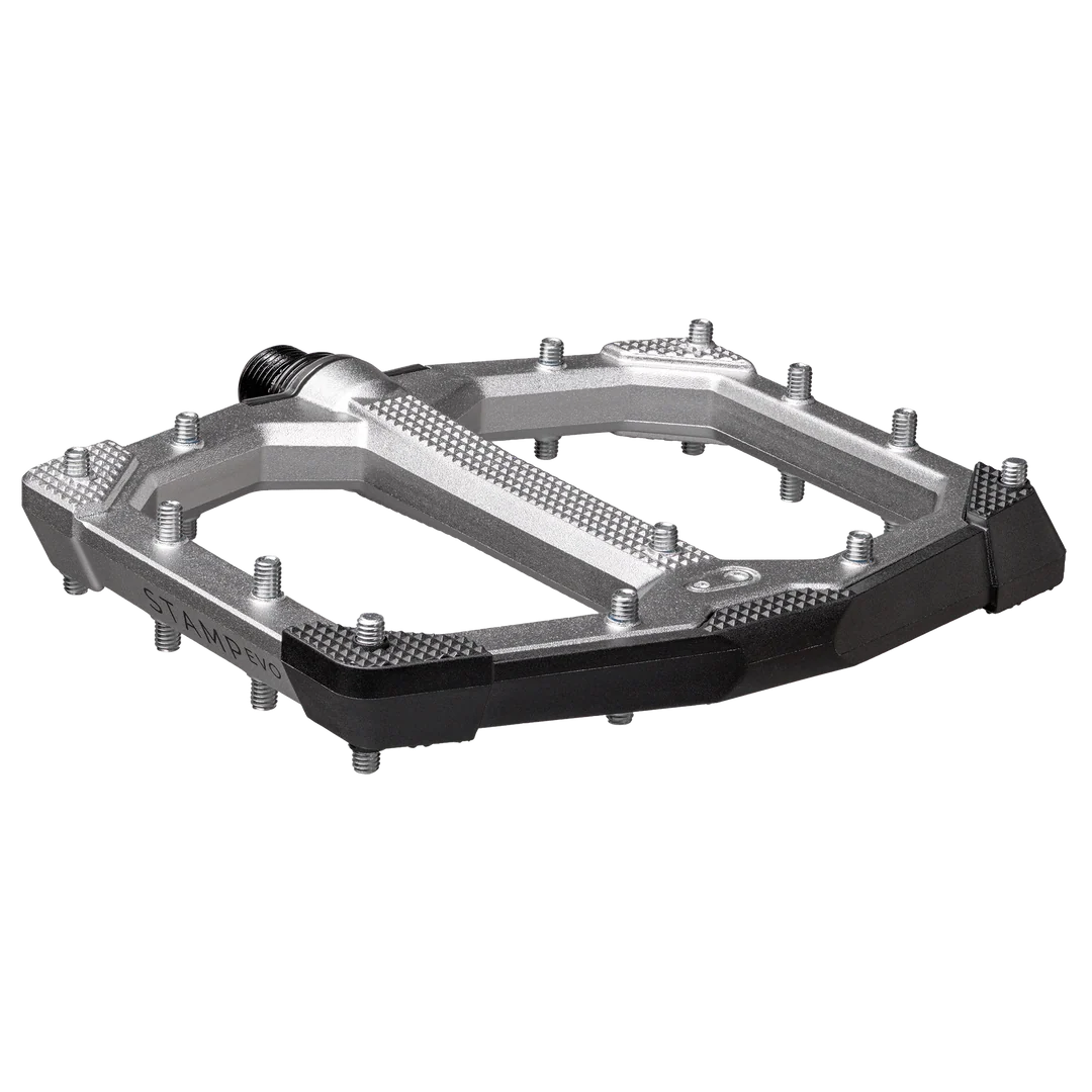 Pedali piatti CRANKBROTHERS STAMP EVO Large Silver