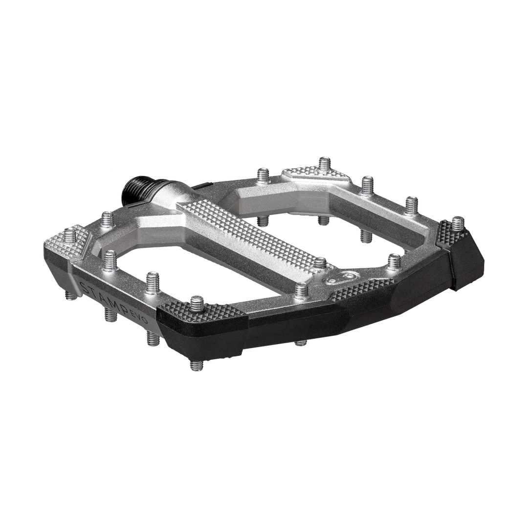 CRANKBROTHERS STAMP EVO Pedali piatti piccoli Argento
