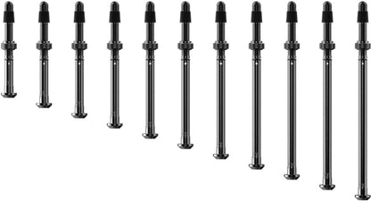 Valvole Tubeless SRAM ZIPP QUARQ TyreWiz 2.0