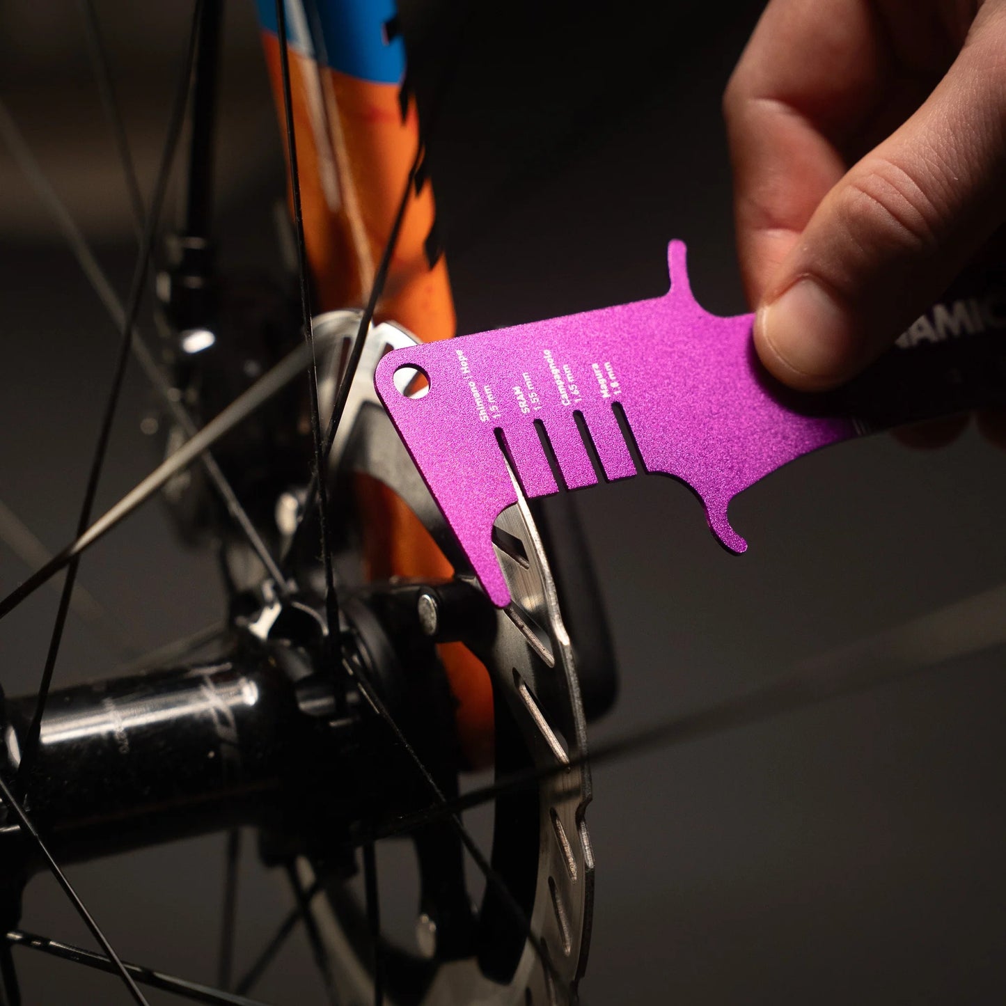 Monitoraggio dell'usura di catena e disco DYNAMIC