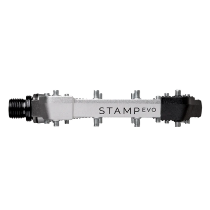 Pedali Flat CRANKBROTHERS STAMP EVO Large Argento