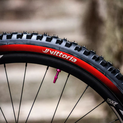 Pneumatico VITTORIA MAZZA ENDURO RACE 29x2.60 Graphene/Silica Tubeless Ready Morbido Nero